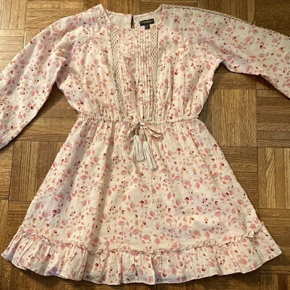 Velveteen Immi Dress with Swiss Dot, Beading and lattice work embellishment. - Picture 1 of 7